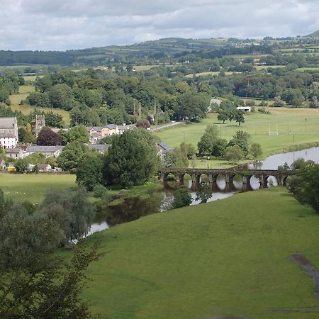 Woodstock Arms Bed & Breakfast Inistioge Eksteriør bilde